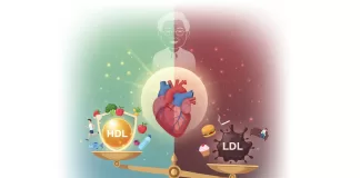 dislipidemia pessoas idosas