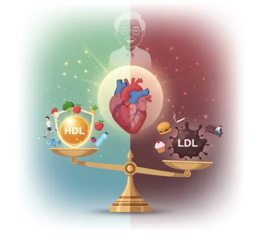 Dislipidemia 2025: Conheça os Novos Limites e Orientações Essenciais dislipidemia pessoas idosas