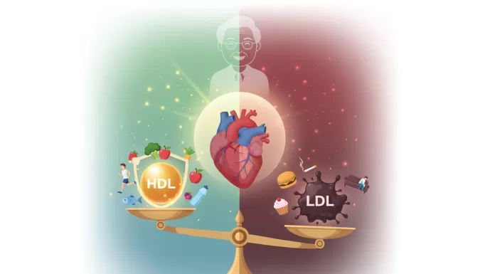 dislipidemia pessoas idosas