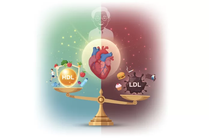 dislipidemia pessoas idosas